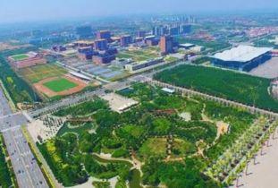 沧州新闻头条南湖,沧州城市新地标崛起