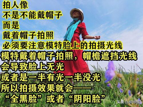 在头条拍什么照片好,捕捉生活精彩瞬间，这些照片题材不容错过
